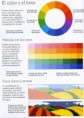/album/teoria-del-color-/color-y-tono-jpg/